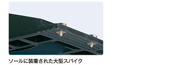 大型スパイク